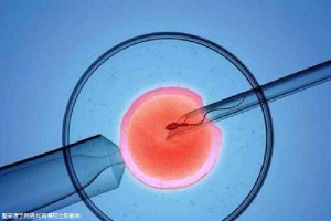 刘阳旭主任